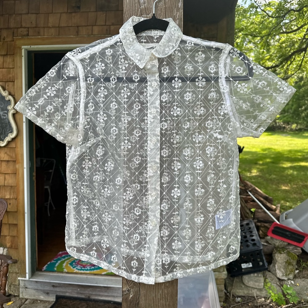 Urban Outfitters Sheer Lace Button Up Shirt